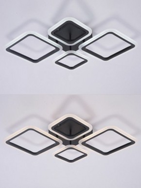 Потолочная люстра Natali Kovaltseva OPTI LED LAMPS 81108/2C в Коротчаево - korotchaevo.ok-mebel.com | фото 4