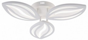 Потолочная люстра Natali Kovaltseva SM LED LAMPS 81456 в Коротчаево - korotchaevo.ok-mebel.com | фото