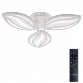 Потолочная люстра Natali Kovaltseva SM LED LAMPS 81456 в Коротчаево - korotchaevo.ok-mebel.com | фото 2