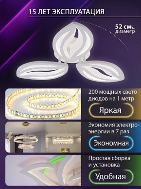 Потолочная люстра Natali Kovaltseva SM LED LAMPS 81456 в Коротчаево - korotchaevo.ok-mebel.com | фото 5