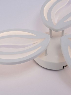 Потолочная люстра Natali Kovaltseva SM LED LAMPS 81456 в Коротчаево - korotchaevo.ok-mebel.com | фото 9