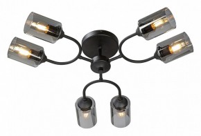 Потолочная люстра Vitaluce V2823 V2823-1/6PL в Коротчаево - korotchaevo.ok-mebel.com | фото 2