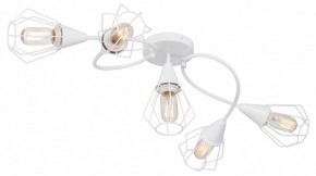 Потолочная люстра Vitaluce V3037 V3037-0/5PL в Коротчаево - korotchaevo.ok-mebel.com | фото