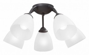 Потолочная люстра Vitaluce V3184 V3737-2/5PL в Коротчаево - korotchaevo.ok-mebel.com | фото