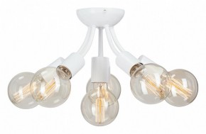 Потолочная люстра Vitaluce V3927 V3927-0/6PL в Коротчаево - korotchaevo.ok-mebel.com | фото