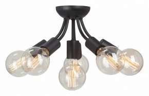 Потолочная люстра Vitaluce V3927 V3927-1/6PL в Коротчаево - korotchaevo.ok-mebel.com | фото