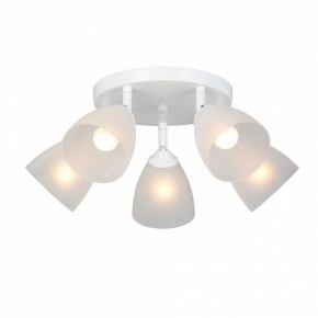 Потолочная люстра Vitaluce V4355 V4355-0/5PL в Коротчаево - korotchaevo.ok-mebel.com | фото 2