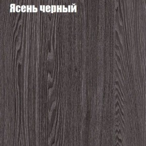 Прихожая ДИАНА-4 сек №10 (Ясень анкор/Дуб эльза) в Коротчаево - korotchaevo.ok-mebel.com | фото 3