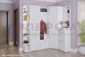 Прихожая Карина композиция 5 (Снежный ясень) в Коротчаево - korotchaevo.ok-mebel.com | фото