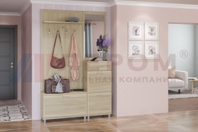 Прихожая Мелисса композиция 8 (Ясень Асахи) в Коротчаево - korotchaevo.ok-mebel.com | фото