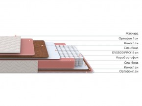 PROxSON Матрас Standart Plus M Roll (Ткань Жаккард) 160x200 в Коротчаево - korotchaevo.ok-mebel.com | фото 2