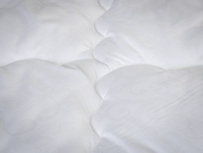 PROxSON Одеяло классическое PROSON (Стеганное полотно) 172x200 в Коротчаево - korotchaevo.ok-mebel.com | фото 4