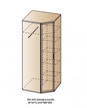 ШК-1011 (Шкаф угловой) в Коротчаево - korotchaevo.ok-mebel.com | фото
