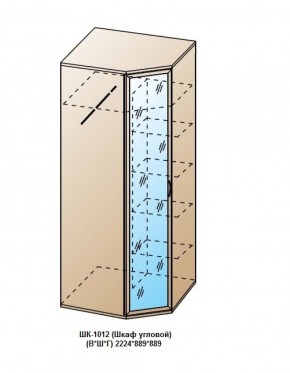 ШК-1012 (Шкаф угловой) в Коротчаево - korotchaevo.ok-mebel.com | фото