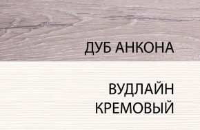 Шкаф 1DW, OLIVIA, цвет вудлайн крем/дуб анкона в Коротчаево - korotchaevo.ok-mebel.com | фото 3
