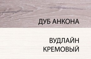 Шкаф 1DZ, OLIVIA, цвет вудлайн крем/дуб анкона в Коротчаево - korotchaevo.ok-mebel.com | фото 3