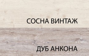 Шкаф 2D1SL, MONAKO, цвет Сосна винтаж/дуб анкона в Коротчаево - korotchaevo.ok-mebel.com | фото