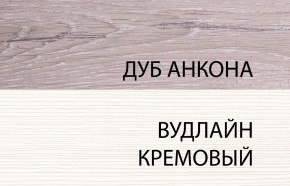 Шкаф 2DG, OLIVIA, цвет вудлайн крем/дуб анкона в Коротчаево - korotchaevo.ok-mebel.com | фото 3