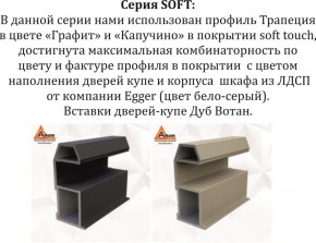 Шкаф-купе 1600 серии SOFT D1+D3+B2+PL1 (2 ящика+1штанга) профиль «Графит» в Коротчаево - korotchaevo.ok-mebel.com | фото 11