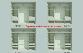 Шкаф-купе 2450 серии NEW CLASSIC K6Z+K1+K6+B22+PL2 (по 2 ящика лев/прав+1 штанга+1 полка) профиль «Капучино» в Коротчаево - korotchaevo.ok-mebel.com | фото 6