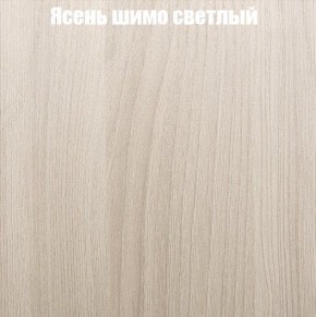 Шкаф-купе «ТАНДЕМ» 2-х дверный в алюминиевом профиле (Дверь К+К) 1600/h2200 в Коротчаево - korotchaevo.ok-mebel.com | фото 6