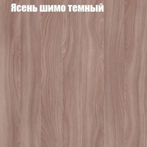 Шкаф-купе «ТАНДЕМ» 2-х дверный в алюминиевом профиле (Дверь К+К) 1600/h2200 в Коротчаево - korotchaevo.ok-mebel.com | фото 7