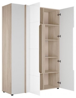 Шкаф платяной Данк в Коротчаево - korotchaevo.ok-mebel.com | фото 2