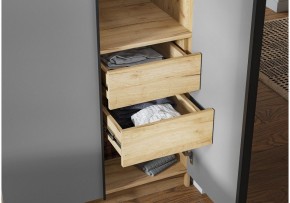 Шкаф платяной Широн в Коротчаево - korotchaevo.ok-mebel.com | фото 3