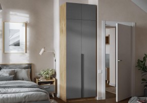 Шкаф платяной Широн в Коротчаево - korotchaevo.ok-mebel.com | фото 4