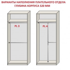 Шкаф распашной серия «ЗЕВС» (PL3/С1/PL2) в Коротчаево - korotchaevo.ok-mebel.com | фото 10