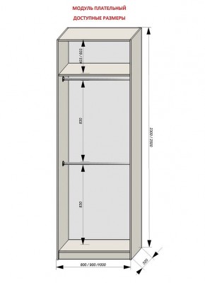 Шкаф распашной серия «ЗЕВС» (PL3/С1/PL2) в Коротчаево - korotchaevo.ok-mebel.com | фото 12