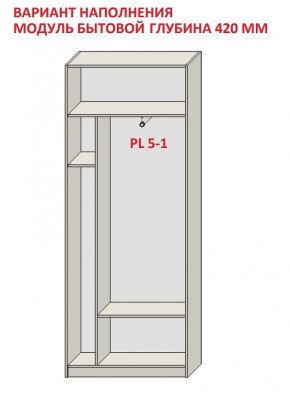 Шкаф распашной серия «ЗЕВС» (PL3/С1/PL2) в Коротчаево - korotchaevo.ok-mebel.com | фото 4