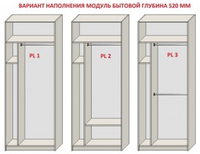 Шкаф распашной серия «ЗЕВС» (PL3/С1/PL2) в Коротчаево - korotchaevo.ok-mebel.com | фото 5