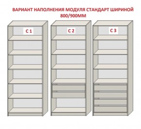 Шкаф распашной серия «ЗЕВС» (PL3/С1/PL2) в Коротчаево - korotchaevo.ok-mebel.com | фото 6