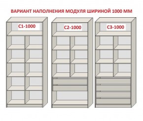 Шкаф распашной серия «ЗЕВС» (PL3/С1/PL2) в Коротчаево - korotchaevo.ok-mebel.com | фото 7