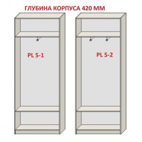 Шкаф распашной серия «ЗЕВС» (PL3/С1/PL2) в Коротчаево - korotchaevo.ok-mebel.com | фото 8