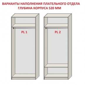 Шкаф распашной серия «ЗЕВС» (PL3/С1/PL2) в Коротчаево - korotchaevo.ok-mebel.com | фото 9