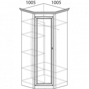 Шкаф угловой №662 "Флоренция" Фасад глухой (угол 1005*1005) Дуб оксфорд в Коротчаево - korotchaevo.ok-mebel.com | фото 3