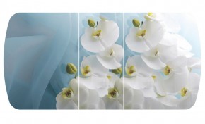 Стол Бостон-3 (Белая Орхидея) 1100/1420*700, опора Брифинг в Коротчаево - korotchaevo.ok-mebel.com | фото 2