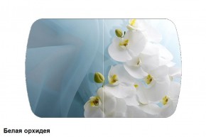 Стол Бостон 900*600 (опоры Брифинг) Стекло/фотопечать Белая Орхидея в Коротчаево - korotchaevo.ok-mebel.com | фото