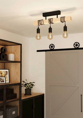 Светильник на штанге Eglo TOWNSHEND 43511 в Коротчаево - korotchaevo.ok-mebel.com | фото 2