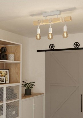 Светильник на штанге Eglo TOWNSHEND 44082 в Коротчаево - korotchaevo.ok-mebel.com | фото 2