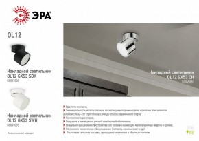 Светильник на штанге Эра OL12 GX53 CH Б0049030 в Коротчаево - korotchaevo.ok-mebel.com | фото 3