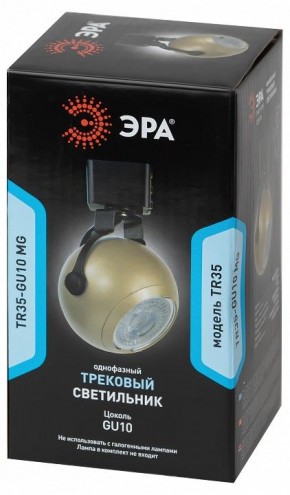 Светильник на штанге Эра  TR35-GU10 MG в Коротчаево - korotchaevo.ok-mebel.com | фото 4