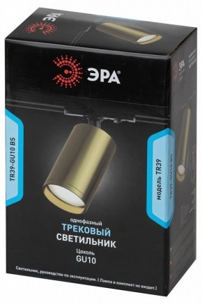 Светильник на штанге Эра  TR39-GU10 BS в Коротчаево - korotchaevo.ok-mebel.com | фото 4