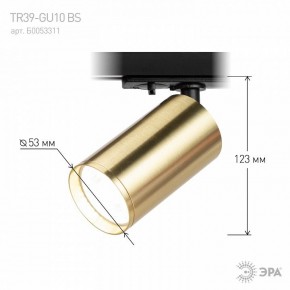 Светильник на штанге Эра  TR39-GU10 BS в Коротчаево - korotchaevo.ok-mebel.com | фото 6
