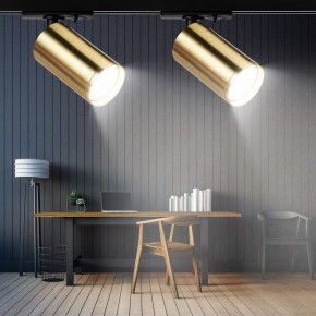 Светильник на штанге Эра  TR39-GU10 BS в Коротчаево - korotchaevo.ok-mebel.com | фото 7