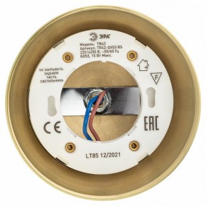 Светильник на штанге Эра  TR42-GX53 BS в Коротчаево - korotchaevo.ok-mebel.com | фото 5