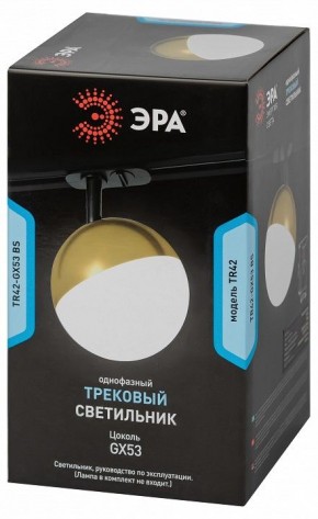 Светильник на штанге Эра  TR42-GX53 BS в Коротчаево - korotchaevo.ok-mebel.com | фото 6