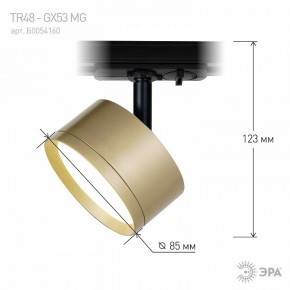 Светильник на штанге Эра  TR48 - GX53 MG в Коротчаево - korotchaevo.ok-mebel.com | фото 4